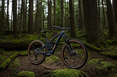 Light Assist Bike FUEL EX-E